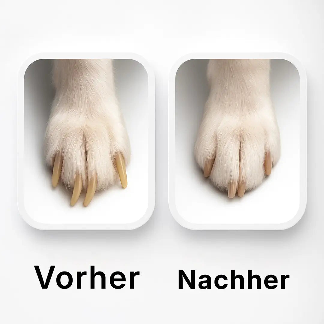 Hundero Leise Pfotenfeile Pro