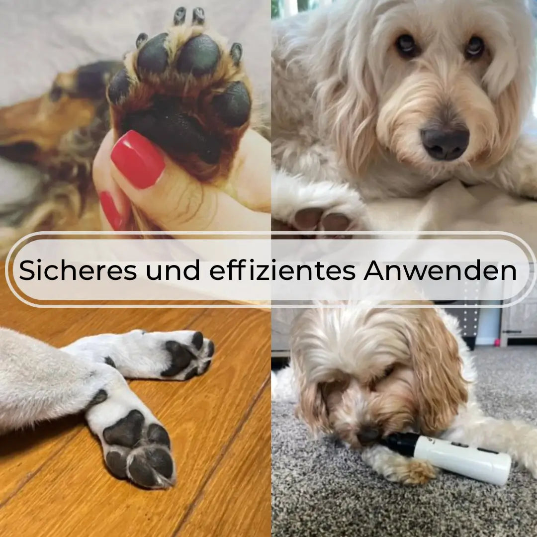Hundero Leise Pfotenfeile Pro